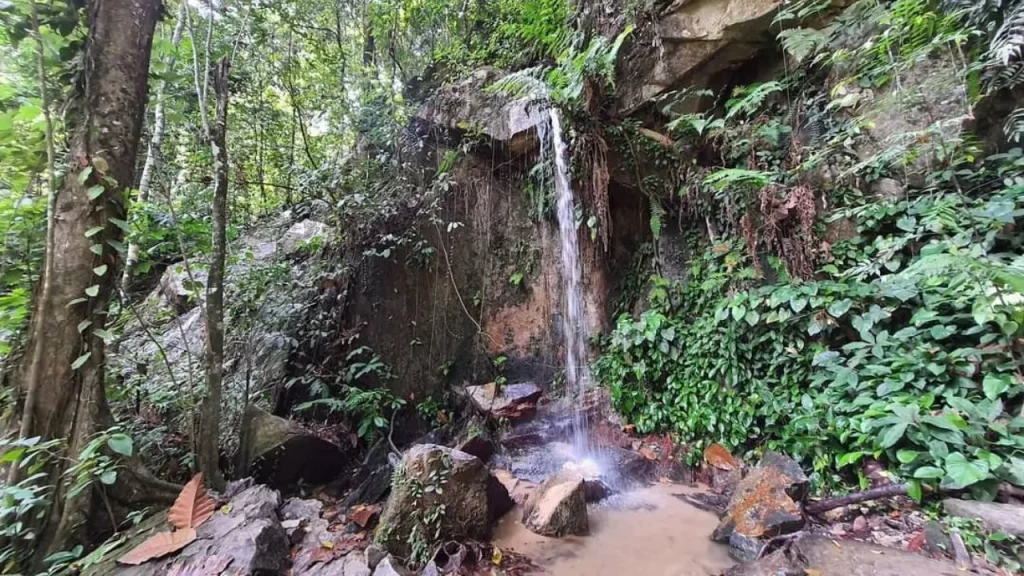 Hutan Lipur Bukit Mertajam