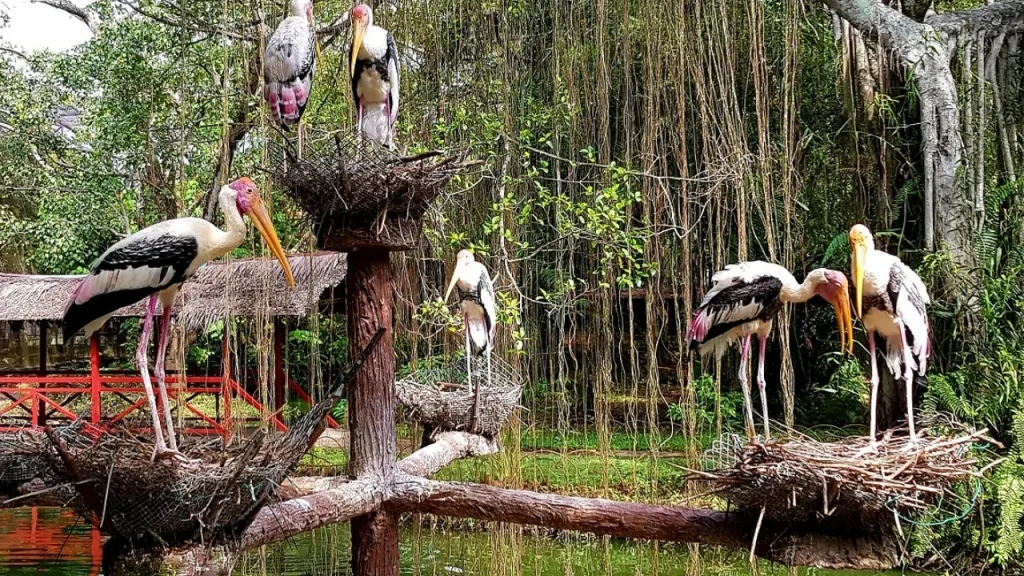 Taman Burung Pulau Pinang